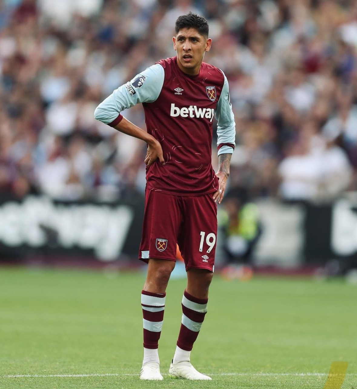 墨西哥阿尔瓦雷斯(墨西哥阿尔贝托)